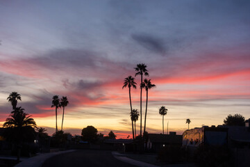 Red late evening clouds glow in winter Arizona sky above residential streets in Phoenix - obrazy, fototapety, plakaty