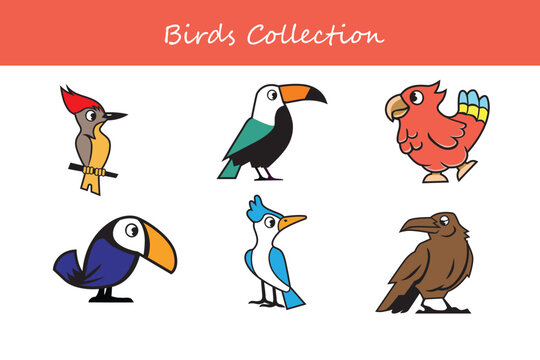 Educational game for children. Find the correct shadow. Set of cartoon birds.