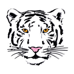 Hand drawn tiger portrait in black and white sketch, styling wild cat face