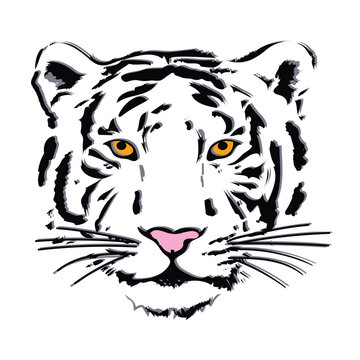 Hand drawn tiger portrait in black and white sketch, styling wild cat face