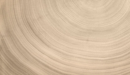 Natural unfinished wood slice tree rings background. Smooth curved lines in a spiral pattern.