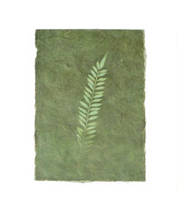 Botanical print of fern leaves on textured green handmade paper. Natural impression of ferns.