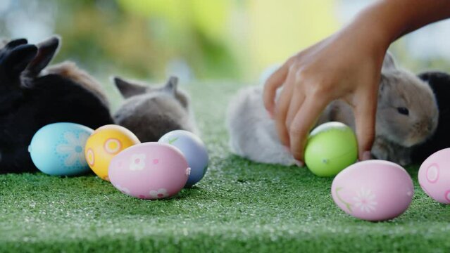 Children hand collecting easter eggs with bunny playing on grass. Symbol of Easter day.