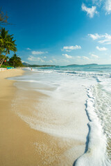 Morning sunrise on white sand sea beach wave tropical forest - 738487903