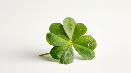 Four-leaf green clover for good luck on St._Patricks day, generative ai