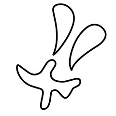 contour water droplets