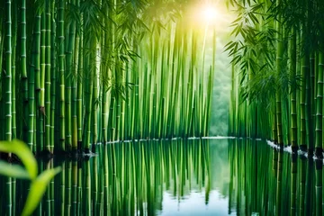 Schilderijen op glas bamboo forest background © shafiq