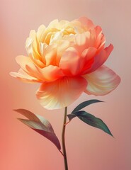 Stunning flower isolated on a soft pastel colored backdrop