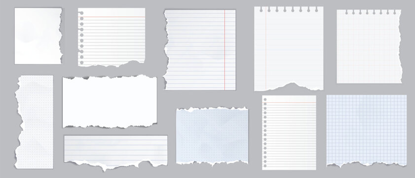 Colored ripped lined paper strips collection. Realistic paper scraps with torn edges. Sticky notes, shreds of notebook pages. Vector illustration.