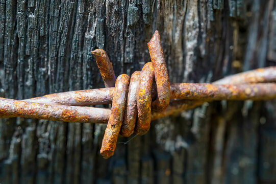 Rusty barbed wire on burnt post