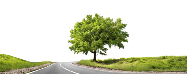 Picturesque countryside road landscape, cut out