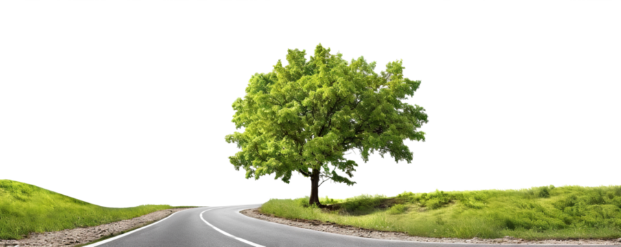 Picturesque countryside road landscape, cut out