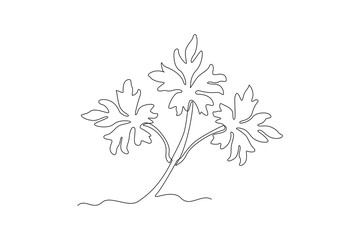 Vintage borders, wall decoration. Wicker lines and old decor elements in vector. Vector page decoration. Decoration for logos, wedding album or restaurant menu. Calligraphic design elements