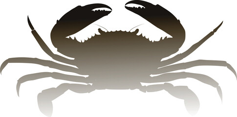 Sea crab is a favorite dish of many people. Silhouette Gradient