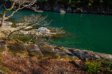エメラルドグリーンに輝く桂川