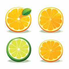 Fresh citrus slices ripe and juicy icon isolated