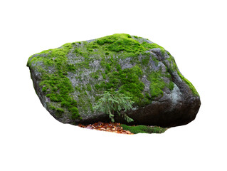 stone covered with moss isolated on white background