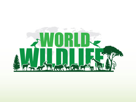 World Wildlife Day is about forest animals, and World Wildlife Day is about forest animals and the life cycle of forest animals. World Wildlife by Animals on Earth, Wildlife Concepts