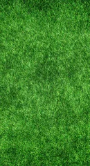 Gardinen green grass texture Green beauty © Uzair