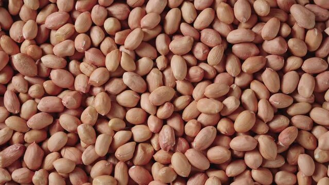 peeled raw peanut kernel on table.