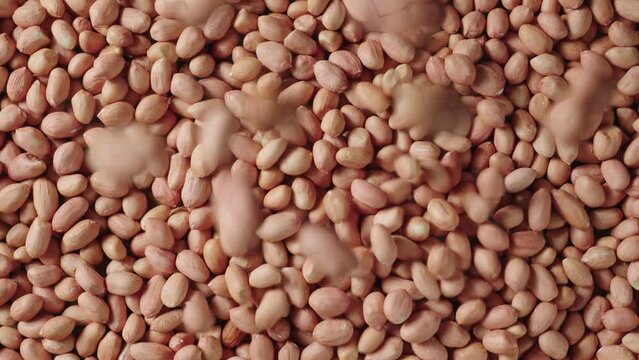 peeled raw peanut kernel on table.