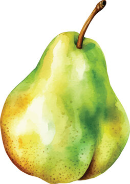 pear with leaf watercolor illustration isolated on white transparent background.