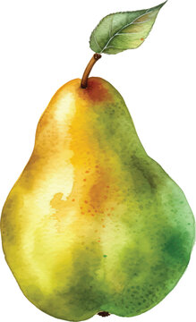 pear with leaf watercolor illustration isolated on white transparent background.