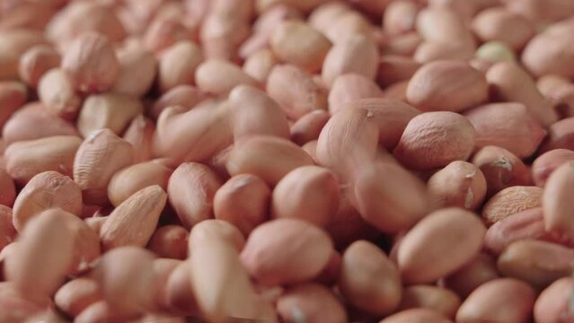 peeled raw peanut kernel on table.