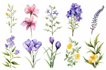 Watercolor Summer: Various Wet Flowers Painting
