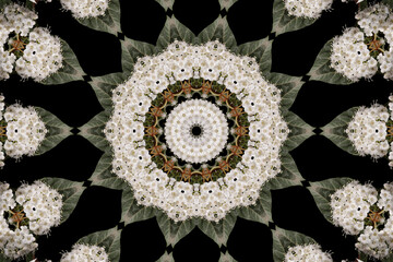 durillo flower kaleidoscope, white flower, durillo flower,  abstract composition of geometric...