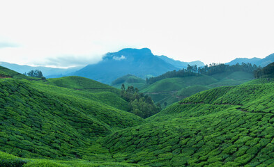 Fototapeta premium landscape with clouds