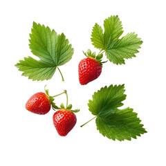 Strawberries with leaves on transparent background