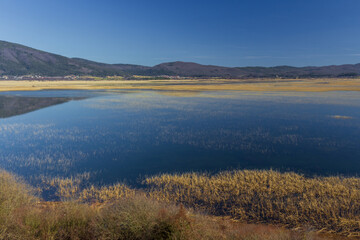 A lake with grassy patches