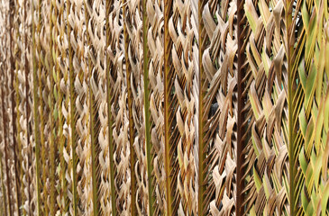 Eco-friendly wall woven from a coconut leaf. Perspective abstract nature background.