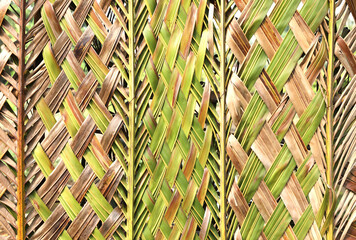 Eco-friendly wall woven from a coconut leaf. Abstract nature background.