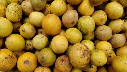 lime background