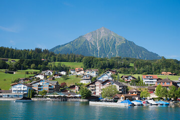 view from the lake Thunersee to tourist resort Faulensee and Niesen mountain, switzerland