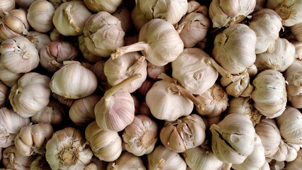 garlic