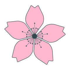 Sakura flower. Floral design element