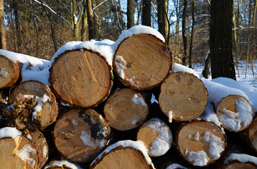 Stos drewna po wycince zimą