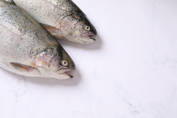 trout fish