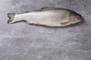 trout fish