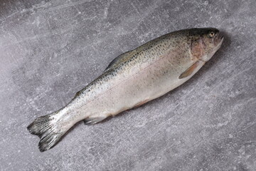 trout fish