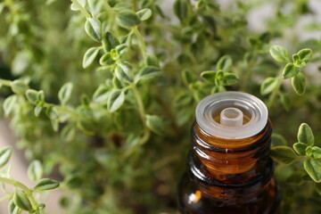 oil with thyme