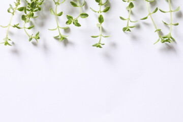 thyme leaves