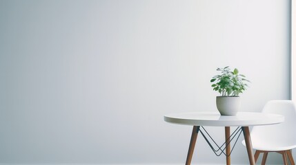 Modern living room interior with white walls, concrete floor, round coffee table and plant