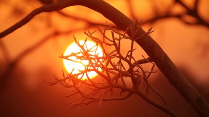 hot sunset UHD WALLPAPER