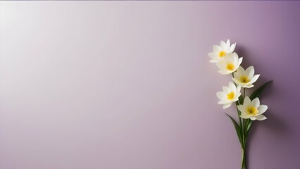 Minimalist Background in Pink and Purple Tones, with Flowers on the Side