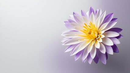 Elegant Purple Gradient Background with Dahlia Peony Chrysanthemum