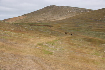 Walking track on West Point Island in the Falkland Islands.